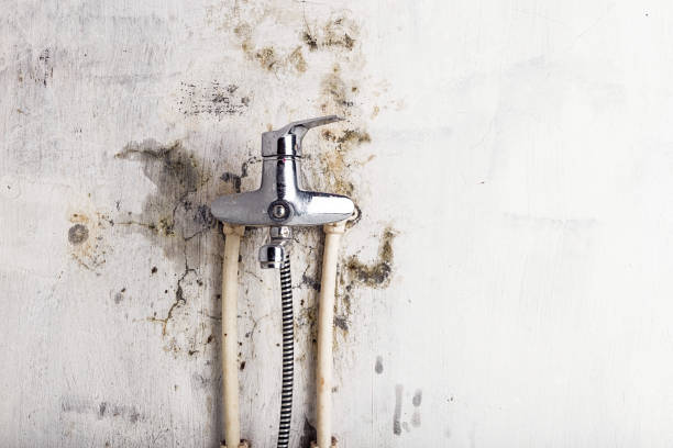 Water Damage Restoration in Lambertville, NJ