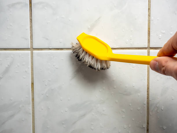  Lambertville, NJ Mold Removal Pros