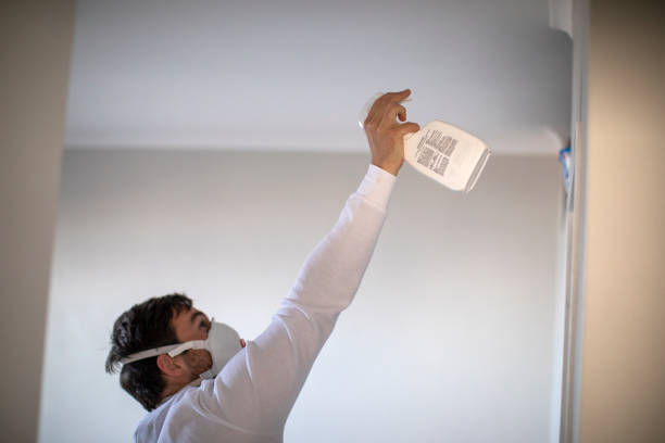 Best Mold Testing  in Lambertville, NJ