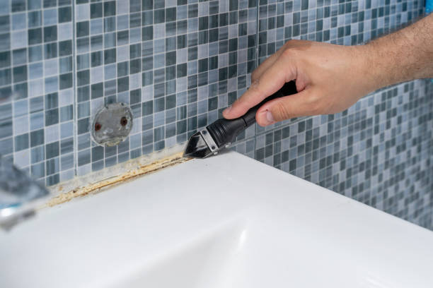 Best Residential Mold Removal  in Lambertville, NJ