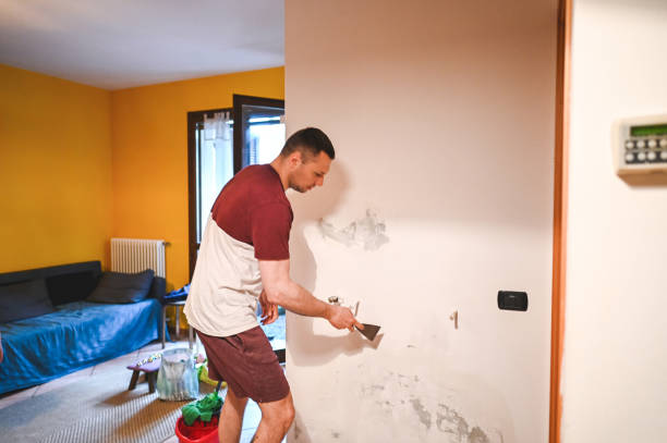 Trusted Lambertville, NJ Mold Removal Experts