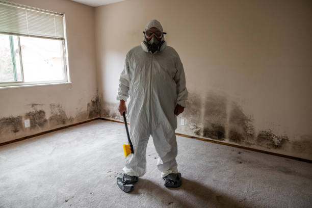 Best Mold Testing  in Lambertville, NJ